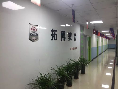 平湖市校外培訓機構白名單公布 聚焦藝術類營利性民辦機構，為家長選擇保駕護航