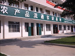 雙鄉創富 農產品實訓基地與藝術培訓的多維聯鎖模式探究