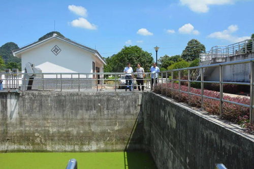 縣城市管理監督局深入葡萄鎮污水處理廠開展調研工作，聚焦智慧管理與綠色發展